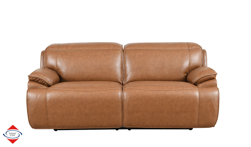 Kian 255 Saddle Power Sofa & Loveseat