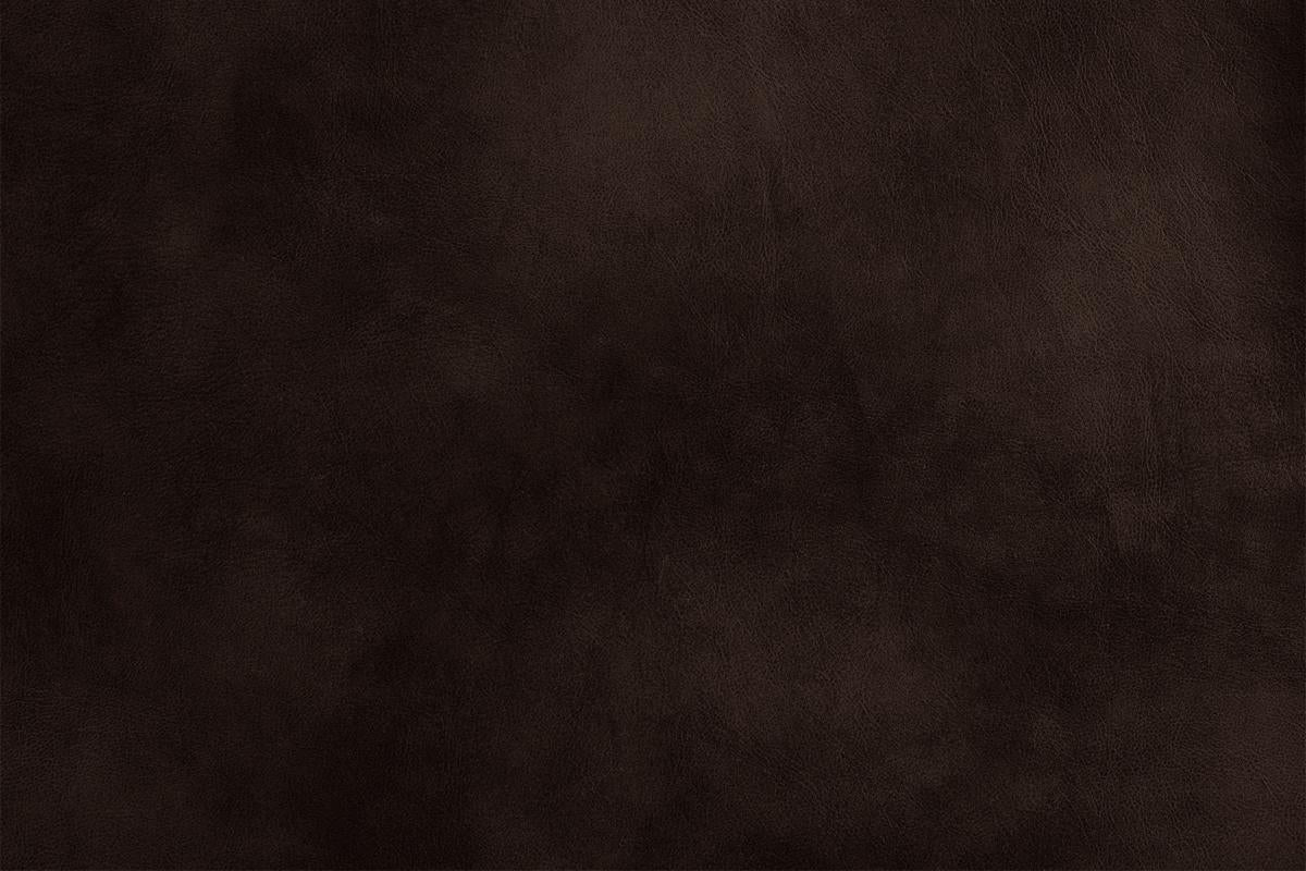 Carlton F6649 Motion Sectional - Dark Brown or Grey