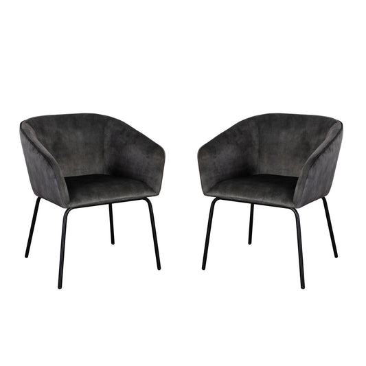 Avery Grey Side Chair - Set of 2