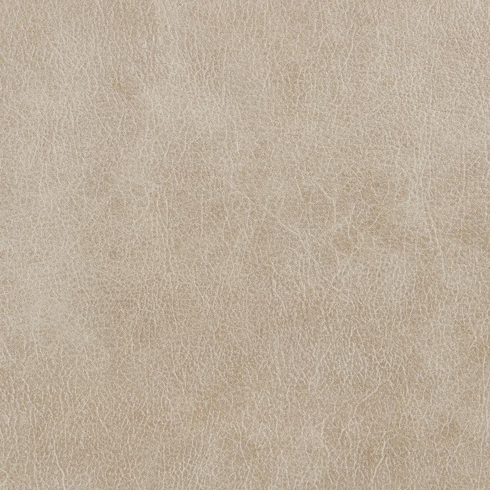 Elison Beige Microfiber 2 Pc Sofa Set
