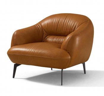 Acme LV00942 Leonia Leather Chair
