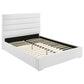 Felicity by Coaster Contemporary Bedroom Collection - White Finish