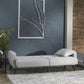 Flexy Bellona Sofa in a Box 6 Colors