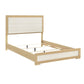 Sterling 4 Pc Youth Bedroom Set 2330T-1*4
