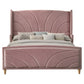 Salonia Queen Pink Velvet Bed BD01183Q