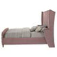 Salonia Pink Velvet King Bed BD01182EK