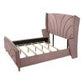 Salonia Queen Pink Velvet Bed BD01183Q