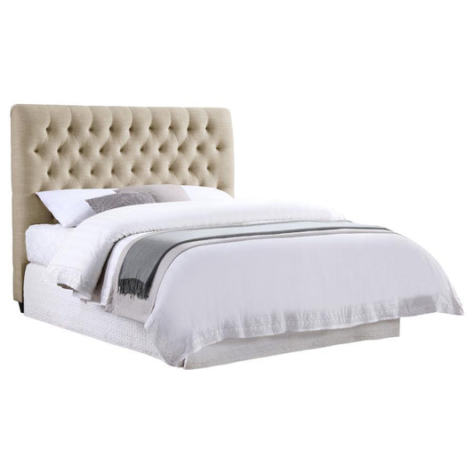Chloe Upholstered Bed by Coaster - 4 Sizes