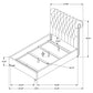 Devon Button Tufted Beige Bed by Coaster