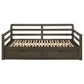 Sorrento 2-Drawer Twin Daybed w/Extension Trundle