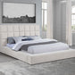Dreux Upholstered Platform Bed - Many Options