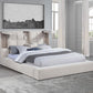 Dreux Upholstered Platform Bed - Many Options