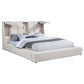 Dreux Upholstered Platform Bed - Many Options