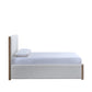 Anika Upholstered Queen Platform Bed