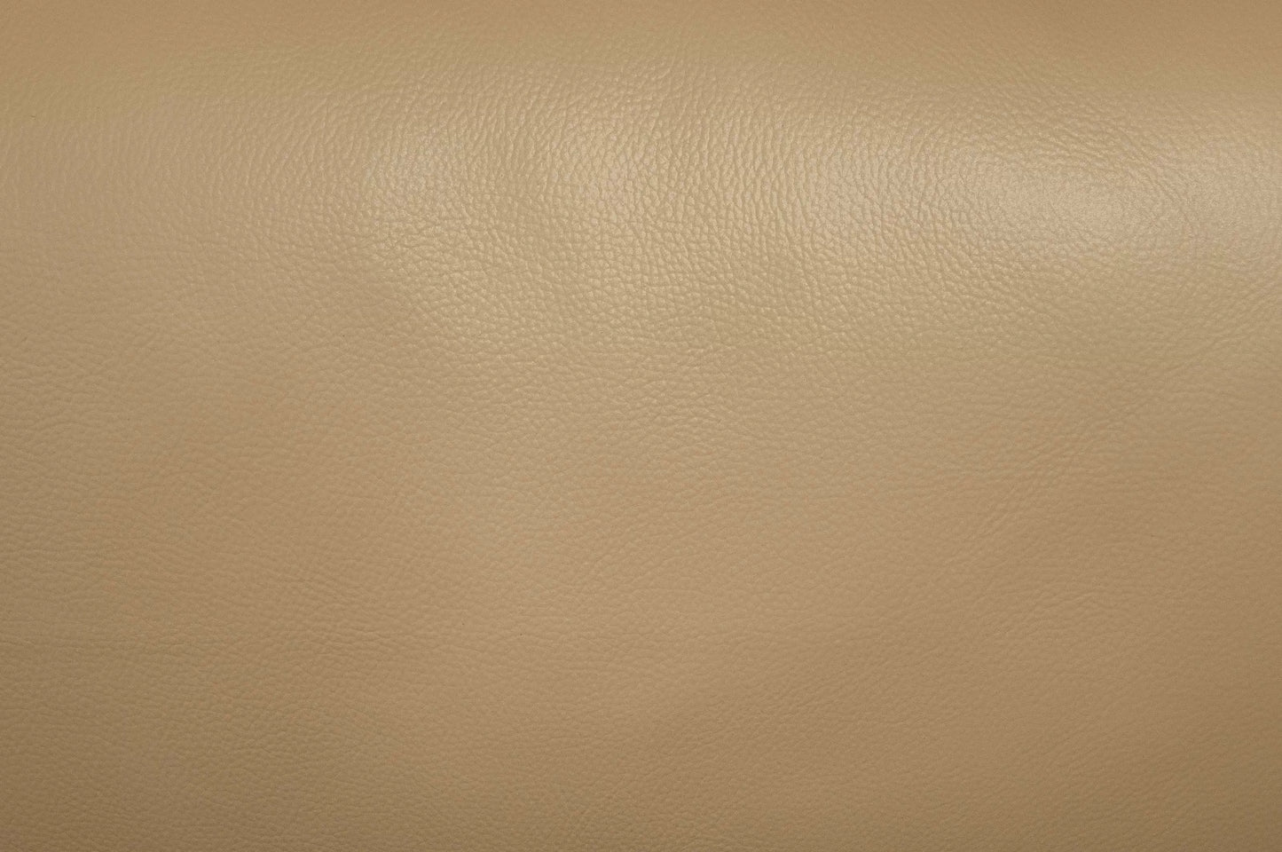 F8420 Taupe Leather Sofa & Loveseat