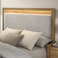 Elinora Natural 4 Pc LED Bedroom Collection