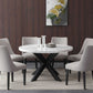 Xena 7 Pc Marble Top Dining Set XN520