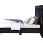 Damazy Velvet Bed by Acme - Black or Blue
