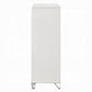 Tarian 5 Drawer White Chest BD02321