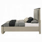 Travonte Queen Bed BD04882Q