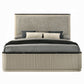 Travonte Eastern King Bed BD04881EK