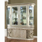 Sandoval Champagne Curio Cabinet DN01497