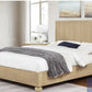 Best Master DP305 King Light Oak Bedroom Set