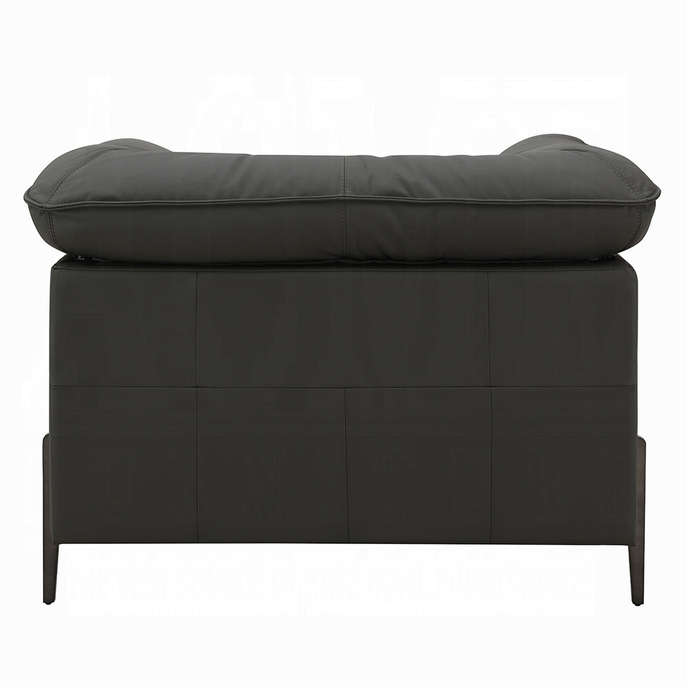 Tadi Gray Top Grain Leather Chair LV04512