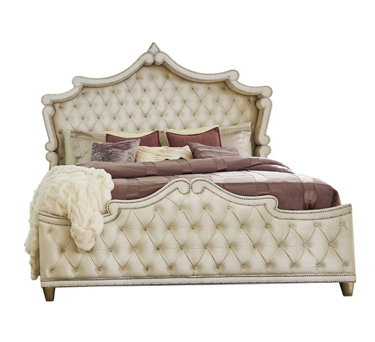 Antonella Queen Bed 223521Q
