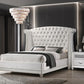 Barzini 300843 White Wingback Velvet Bed by Coaster