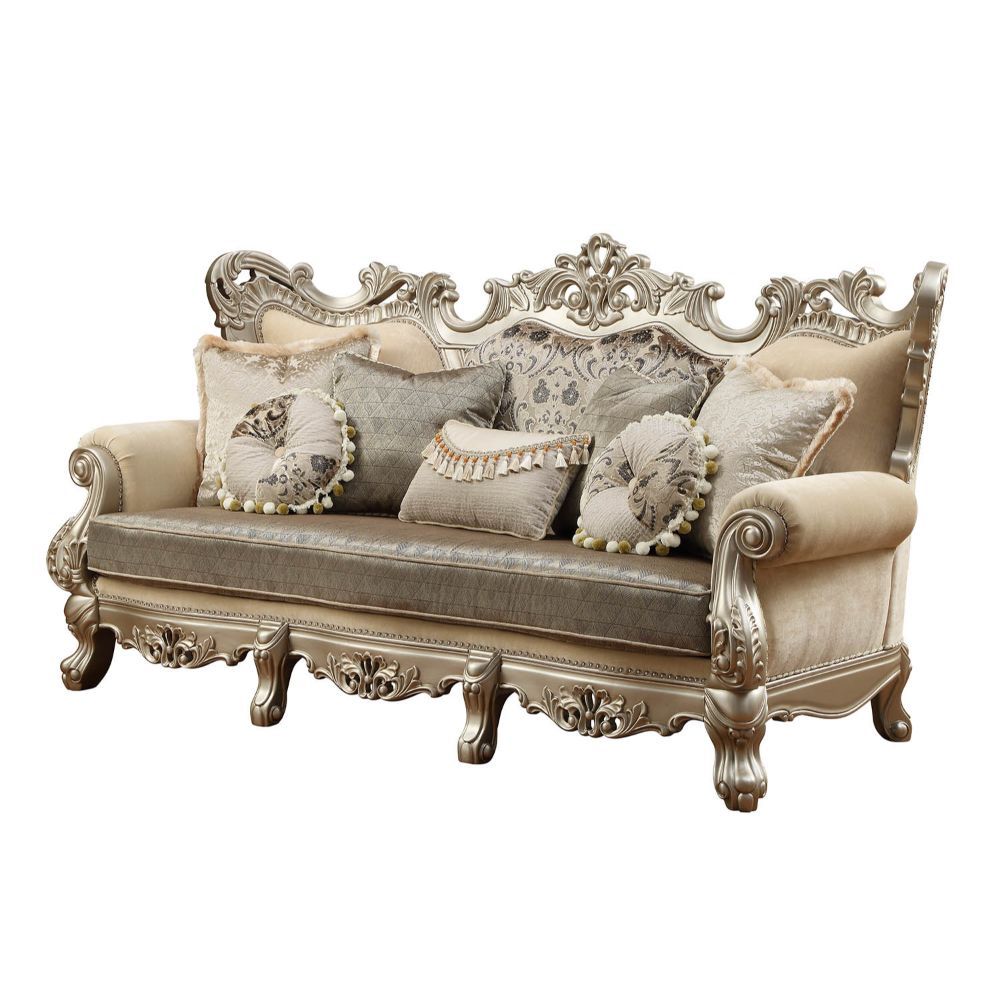 Acme Furniture Ranita Sofa Collection - Champagne Finish