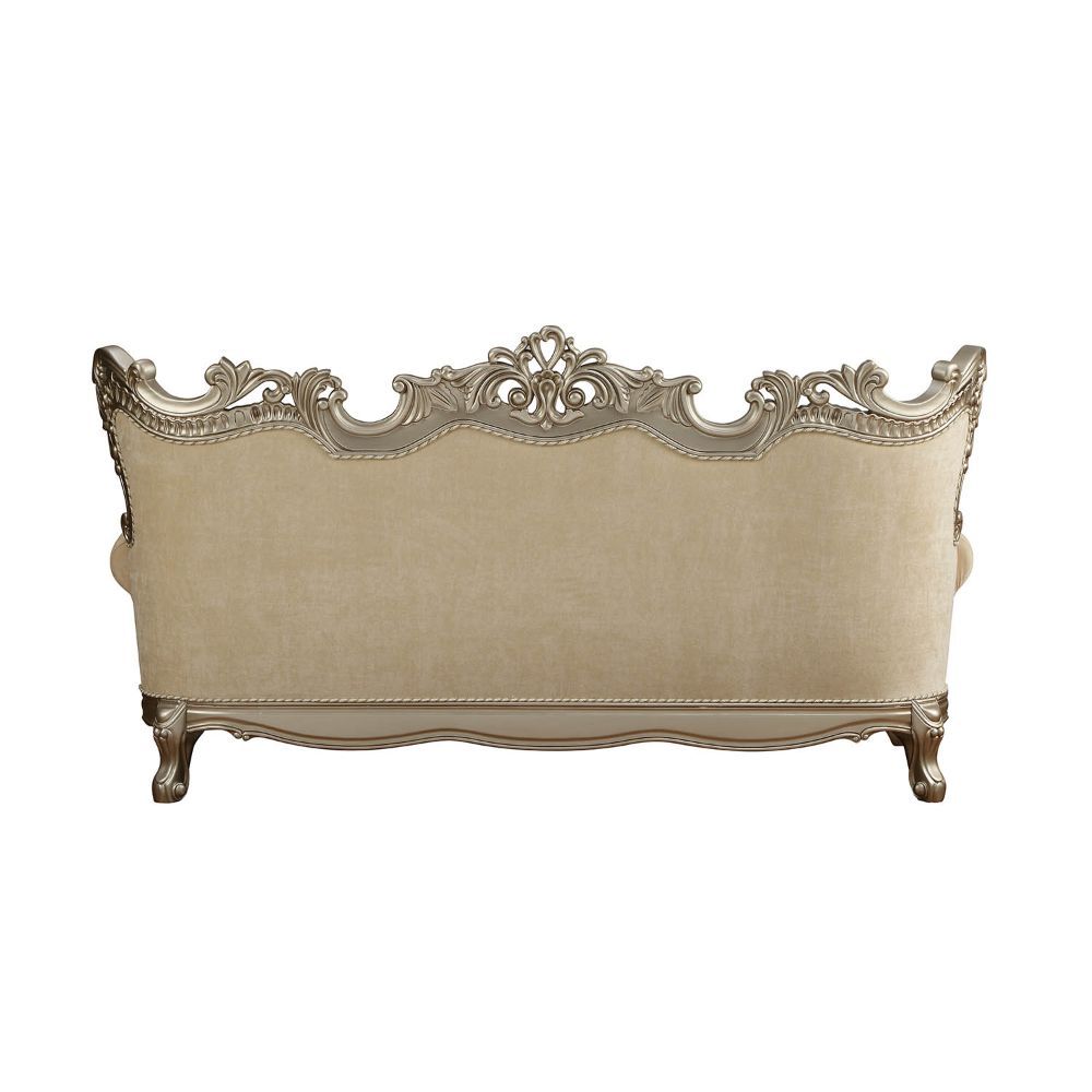 Acme Furniture Ranita Sofa Collection - Champagne Finish