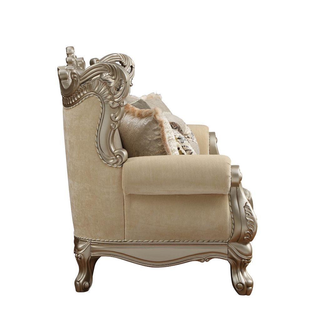 Acme Furniture Ranita Sofa Collection - Champagne Finish
