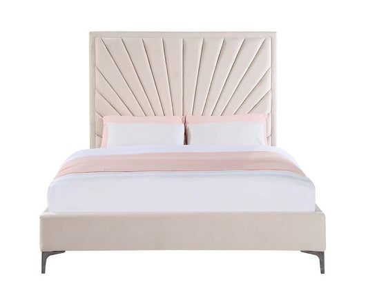 Faiz Home Magazine Bedroom Collection by Acme