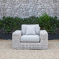 Renava Portugal - 4 Pc Grey Wicker Sofa Set